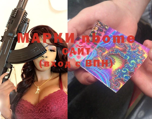 прущие грибы Инсар